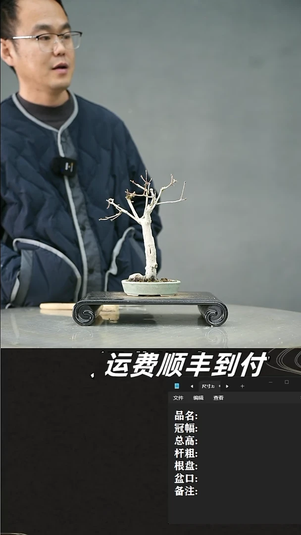 【闪购商品】60山红叶