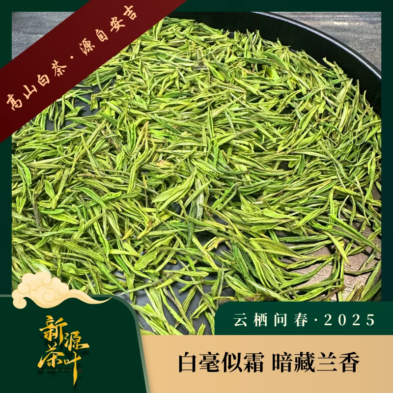 【199系列】2025年新茶高山安吉白茶原产地兰花香绿茶