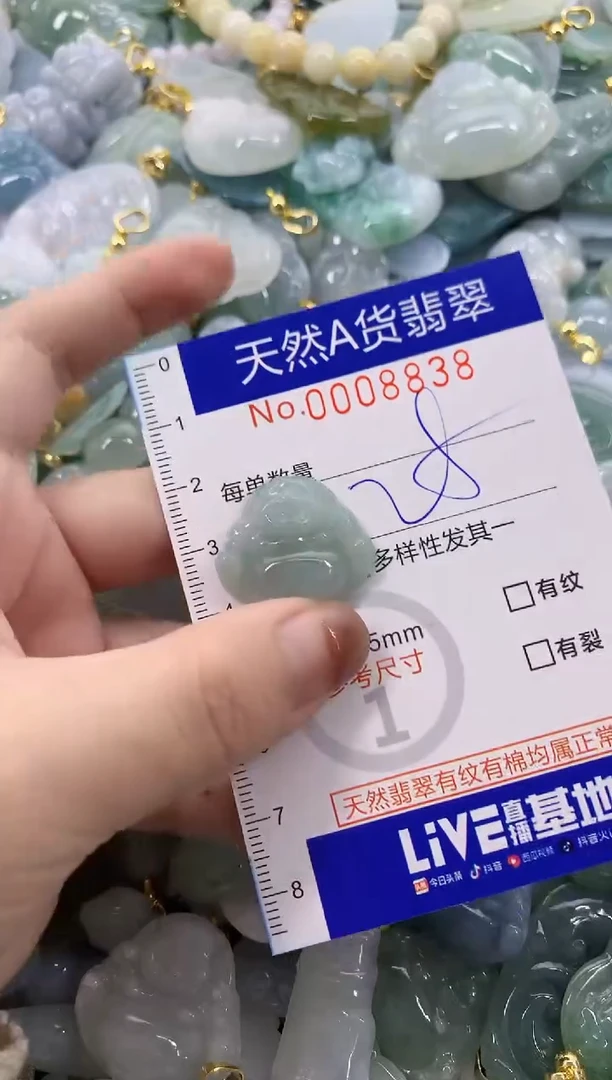 颈饰未镶嵌翡翠天然A货翡翠