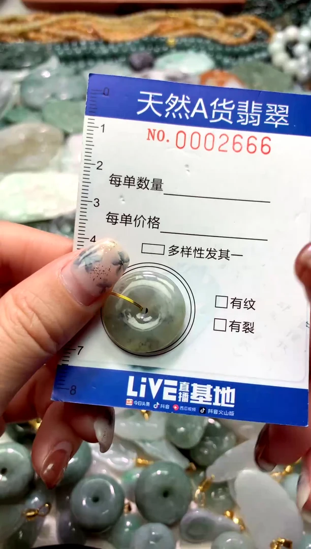 颈饰未镶嵌翡翠1