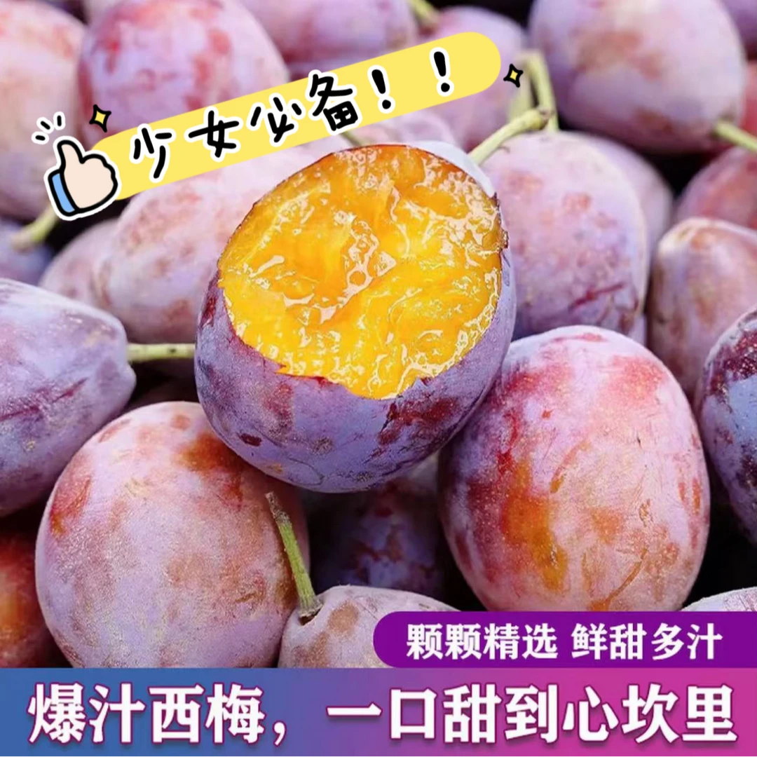 顺丰冷链空运-头茬新疆喀什西梅法兰西西梅伽师西梅少女必备水果新疆维吾尔自治区