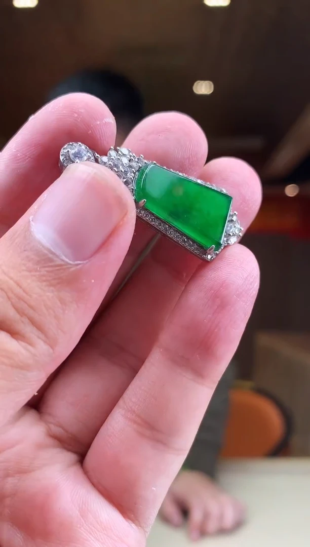 【闪购商品】翡翠颈饰未镶嵌        *616