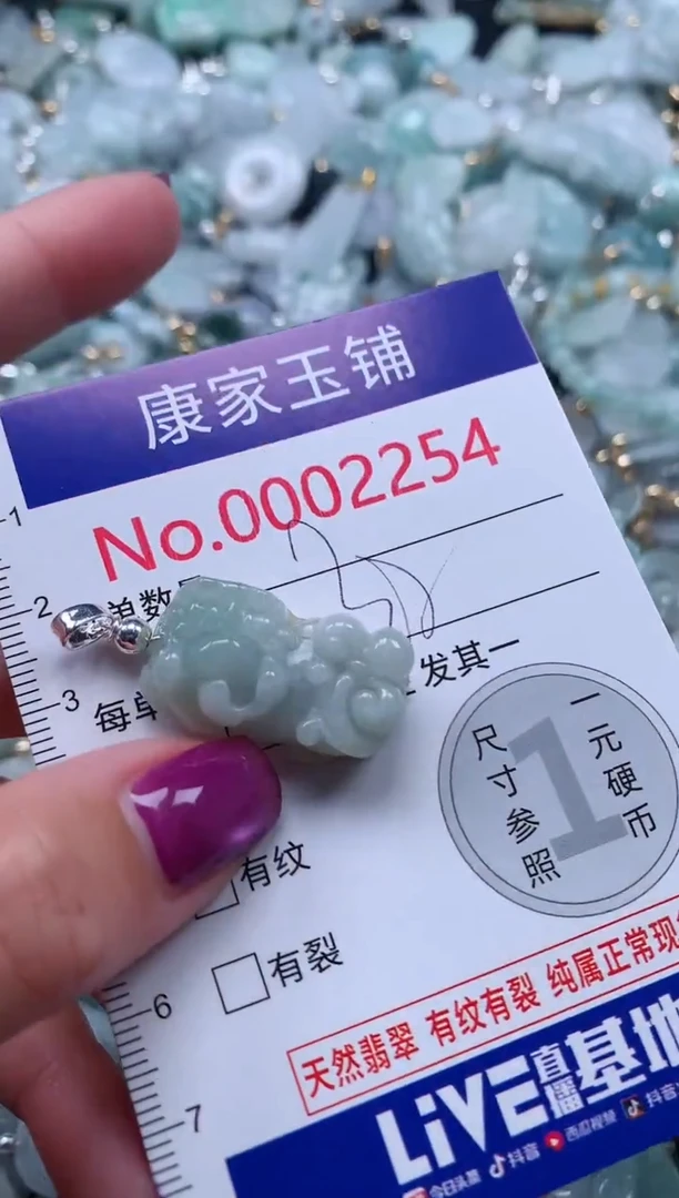 颈饰未镶嵌翡翠2254