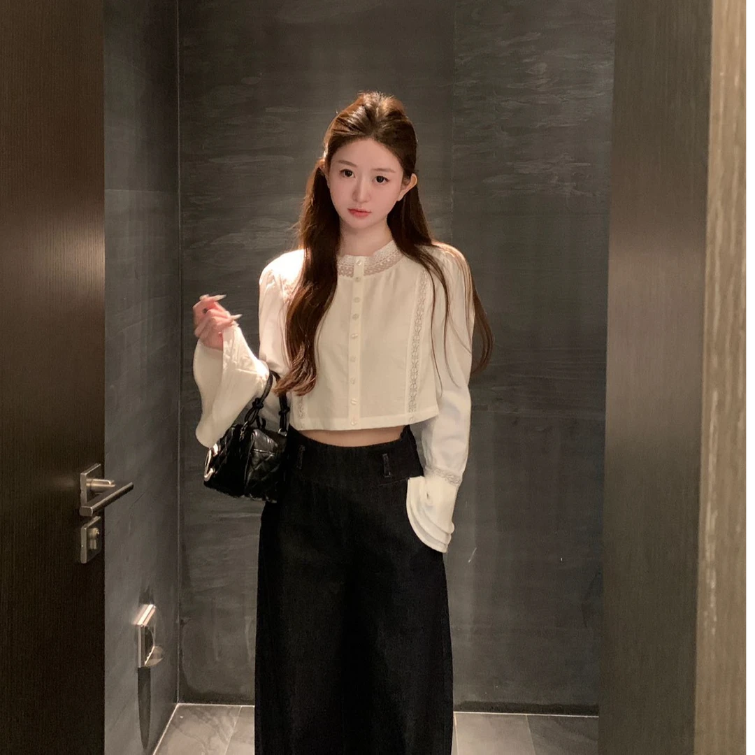 2025新款甜美清新设计感镂空蕾丝衬衫袖秋季高腰时尚短款长袖气质