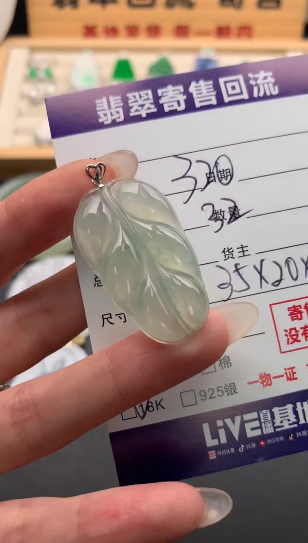 翡翠18K金镶嵌颈饰10134782