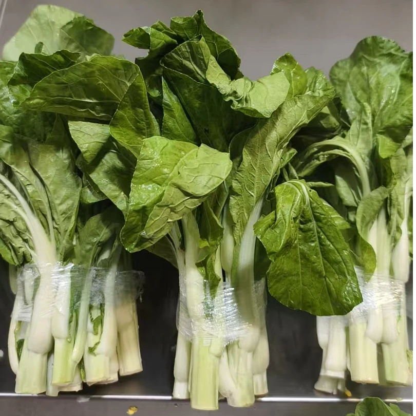 【白菜条】 同城小时达配送白菜
