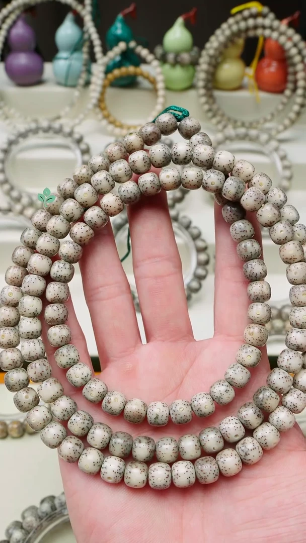 手串星月菩提海南星月菩提一物一图