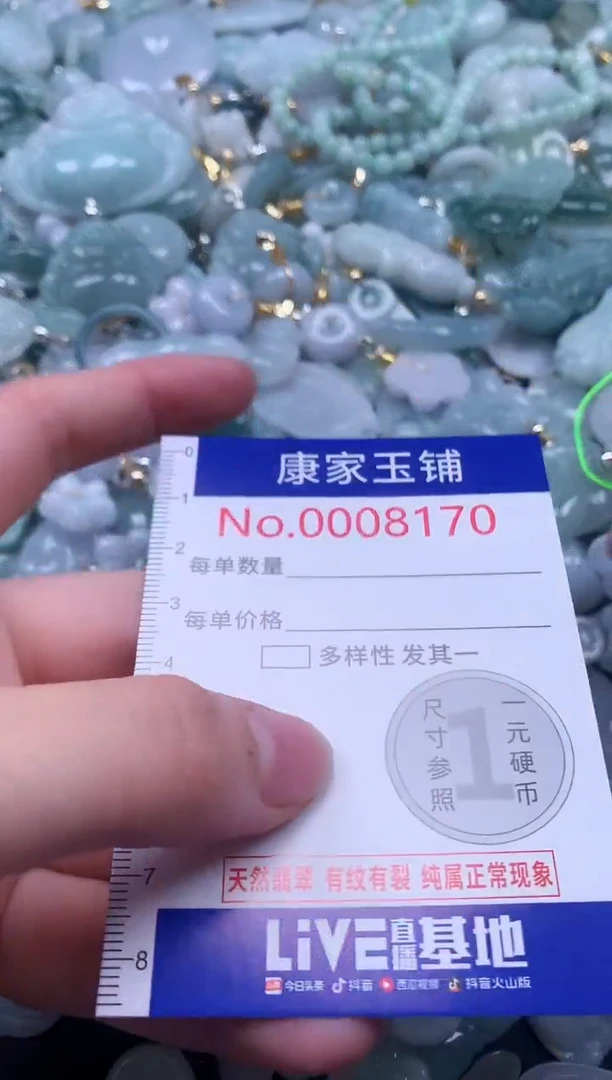 颈饰未镶嵌翡翠8170