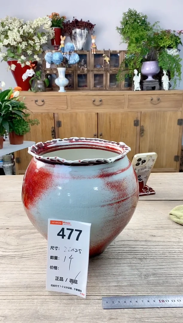 小玩子花盆直播号477