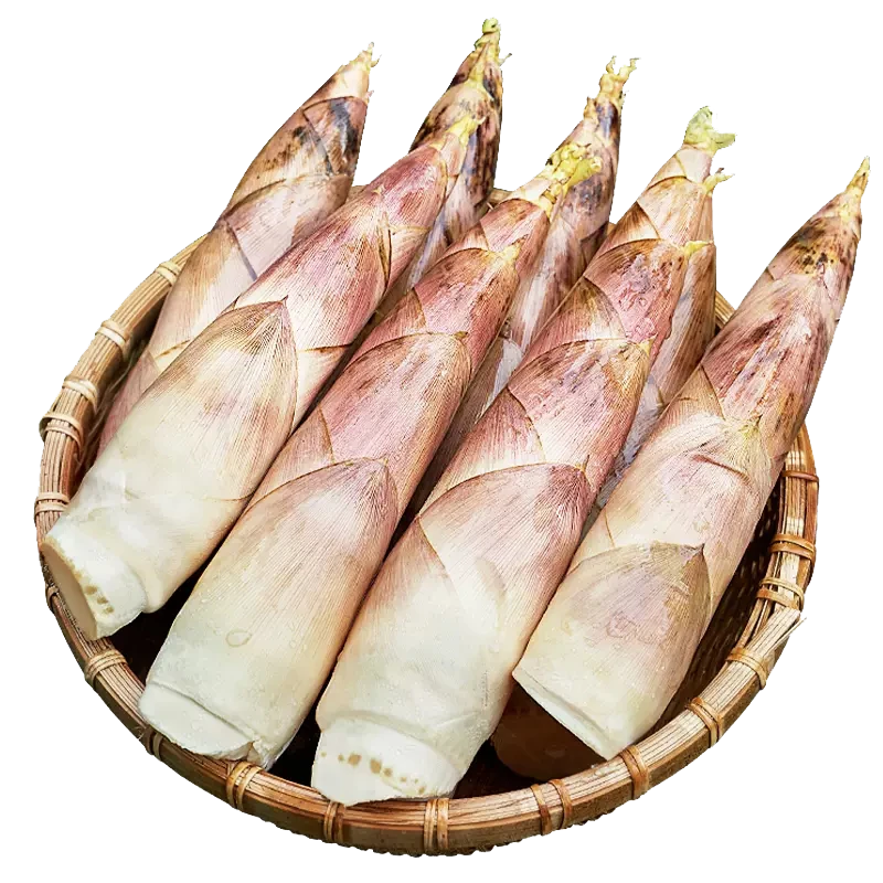 临安天目山春笋  新鲜春笋+腊肉=腌笃鲜  脆嫩鲜甜时令美味