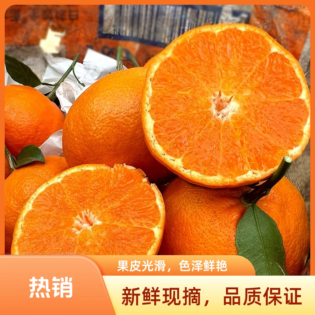 正宗明日见柑纯甜爆汁当季新鲜酸甜爆汁四川柑橘桔子整箱G包邮四川省