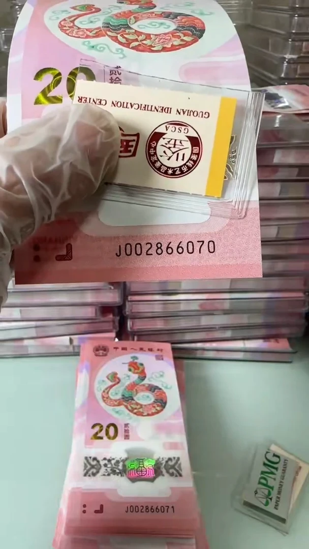 【闪购商品】塑料002866070-蛇钞单张！