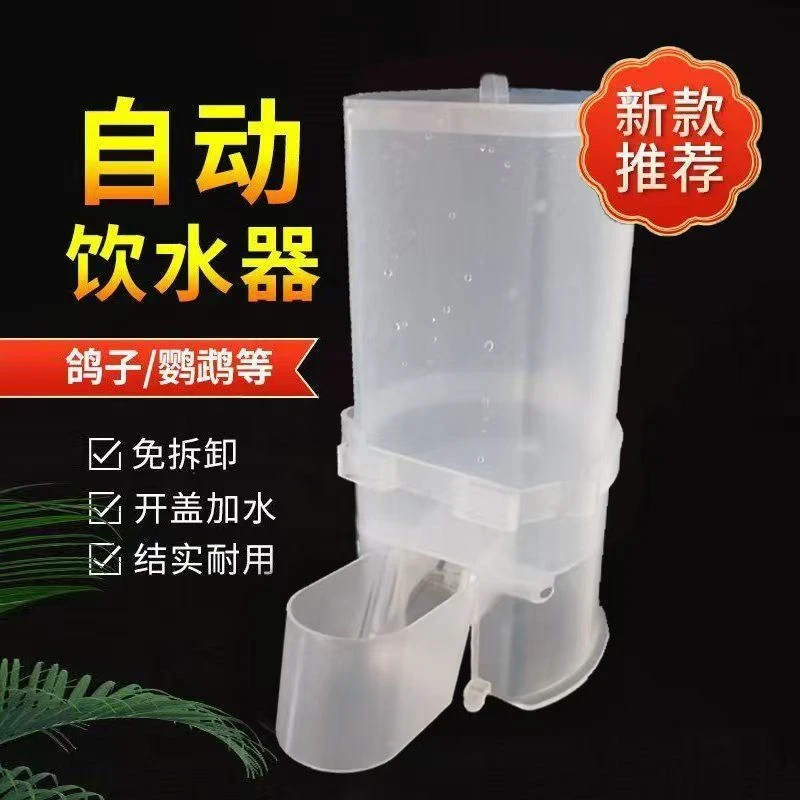 新款鸽子鸟用饮水用具自动水壶鹦鹉喂水杯芦丁鸡小鸡饮水自动上水