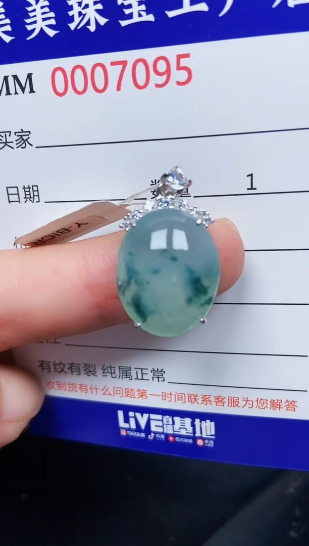 翡翠银S925镶嵌颈饰7095