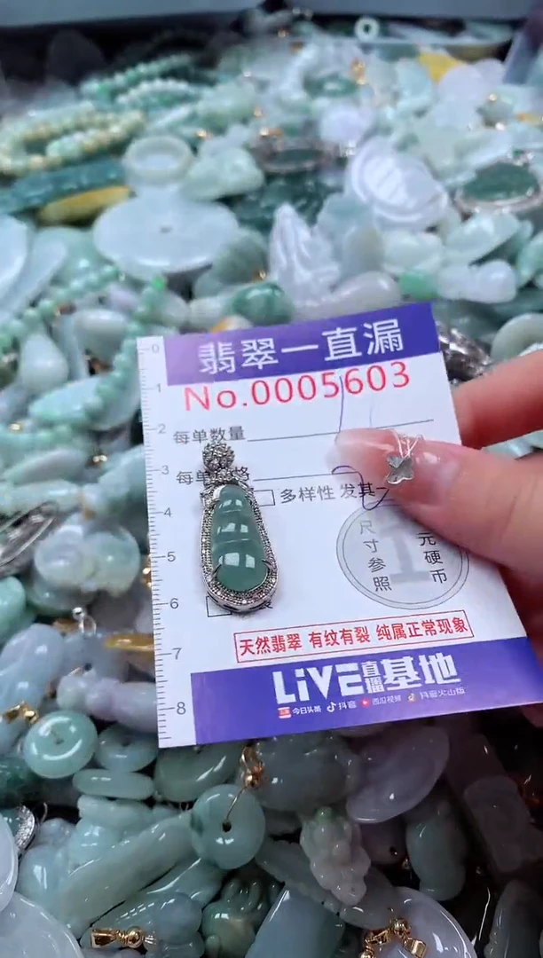 翡翠未镶嵌吊坠(不含链)5603