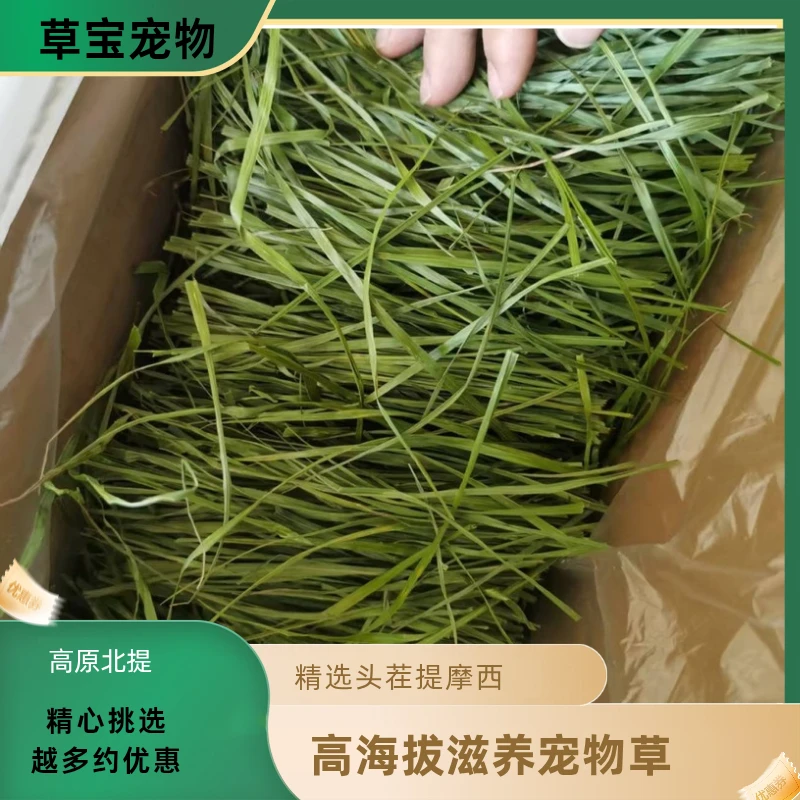 纯叶无杆提摩西草兔子粮豚鼠粮龙猫粮荷兰猪粮磨牙的优质牧草