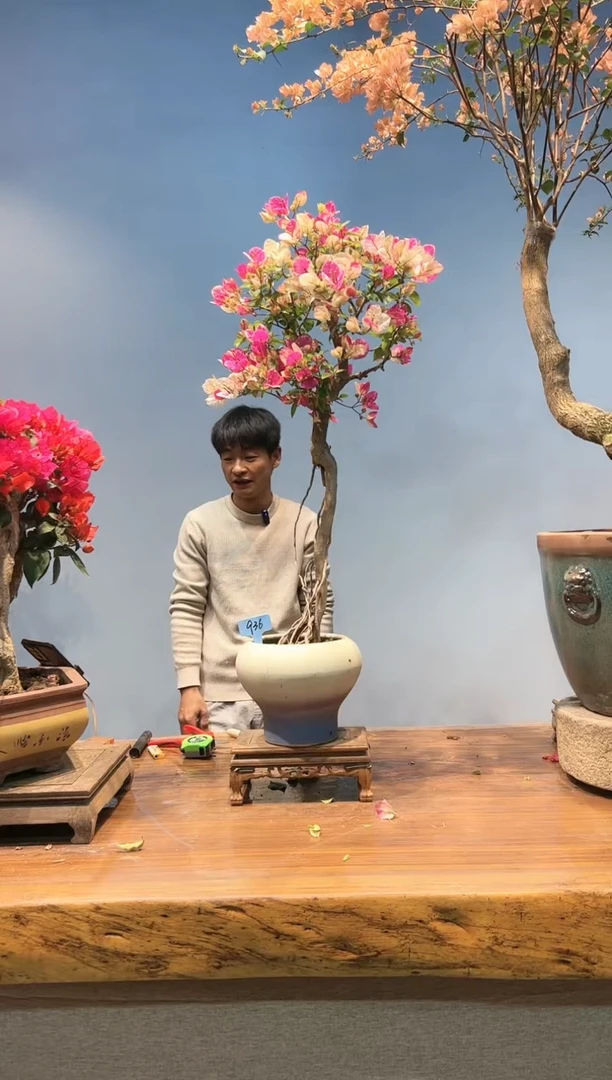 【闪购商品】aa936