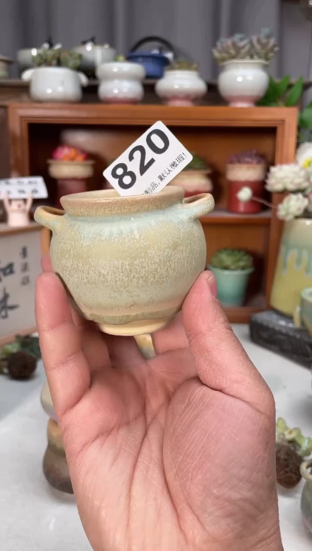 瓷片呆*猴820小芳直播编号