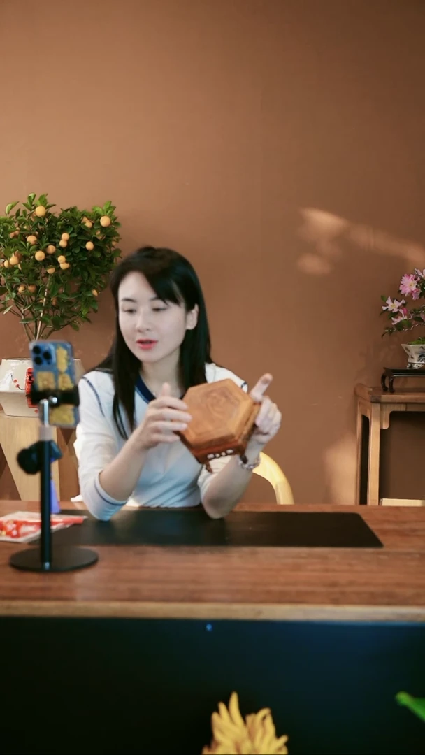 【闪购商品】盆景六角花架