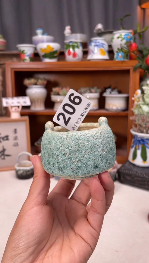 瓷片206知木小芳花盆直播编号