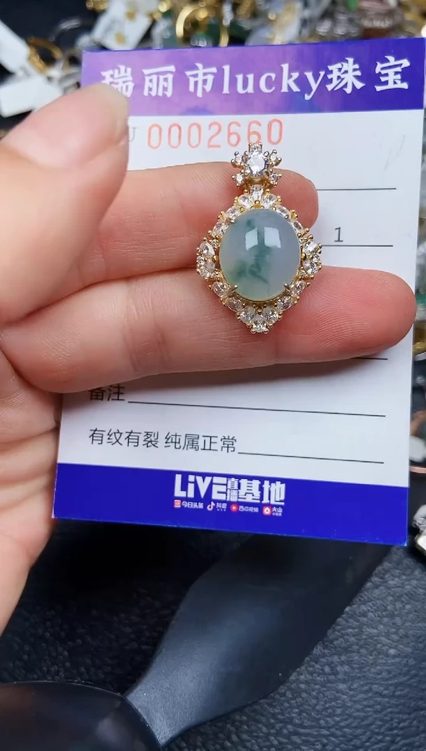 翡翠银S925镶嵌颈饰2660
