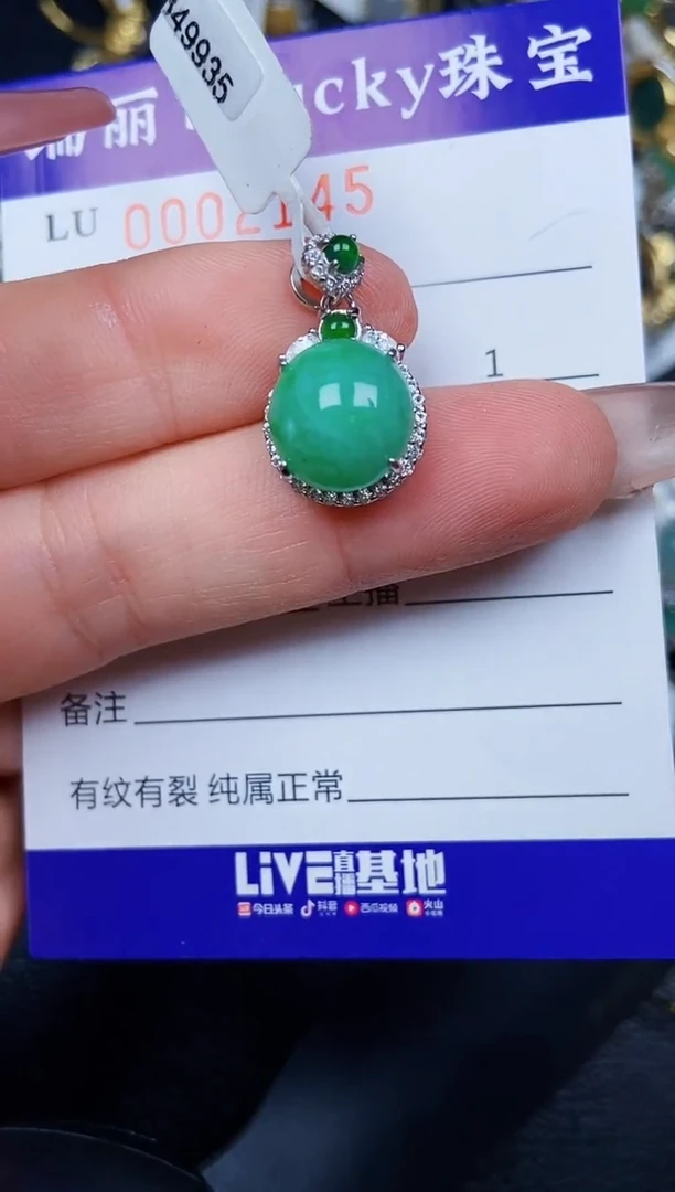 翡翠银S925镶嵌颈饰2145