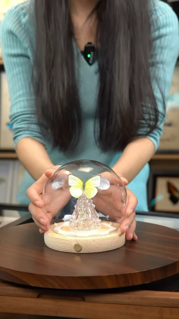 迁粉蝶圣诞灯款玻璃球款