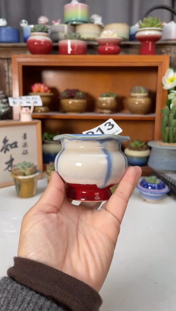 瓷片213知木小芳花盆直播编号