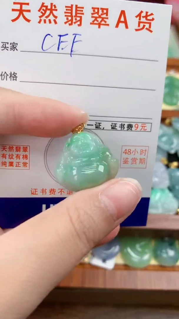 颈饰未镶嵌翡翠天然A货翡翠挂件
