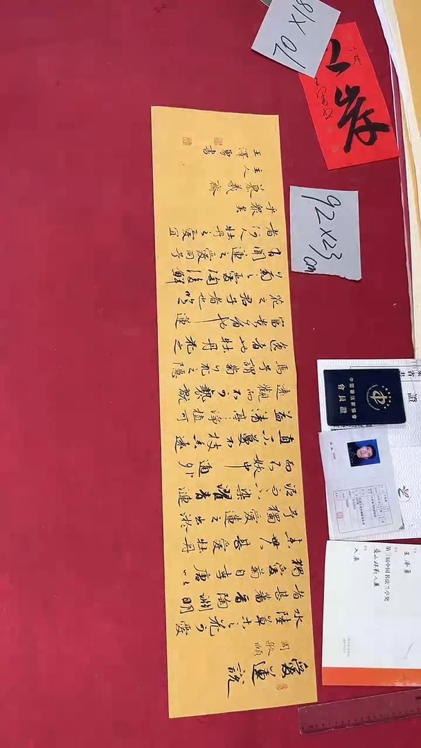 书法王泽勇老师书法作品100