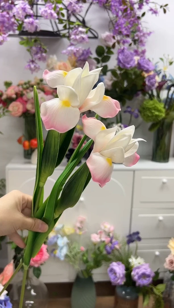 2枝粉色鸢尾花花