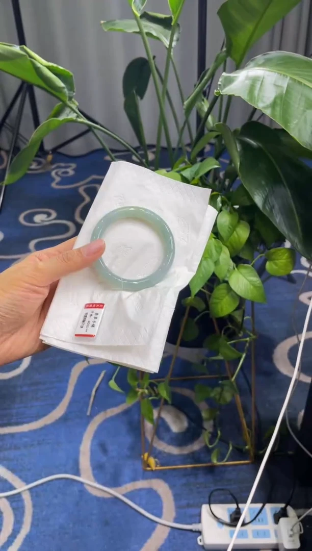 未镶嵌手镯翡翠6296****