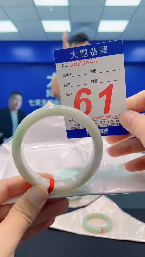 未镶嵌手镯翡翠AAAAAAAAA
