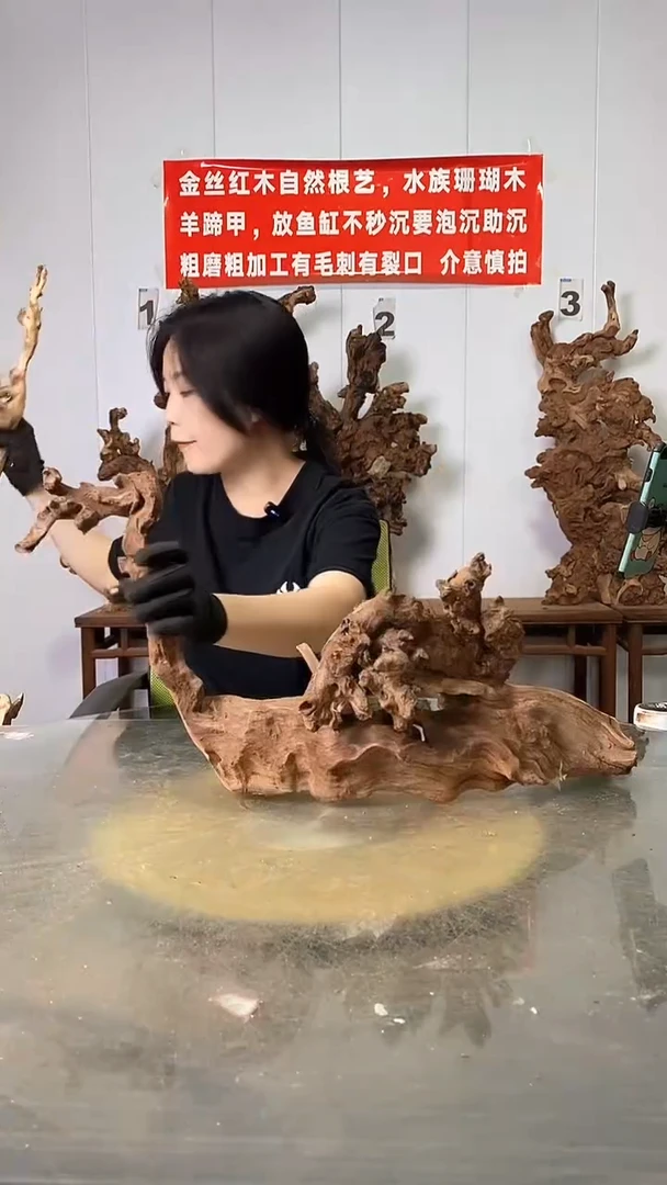 香榧木金丝红木 羊蹄甲