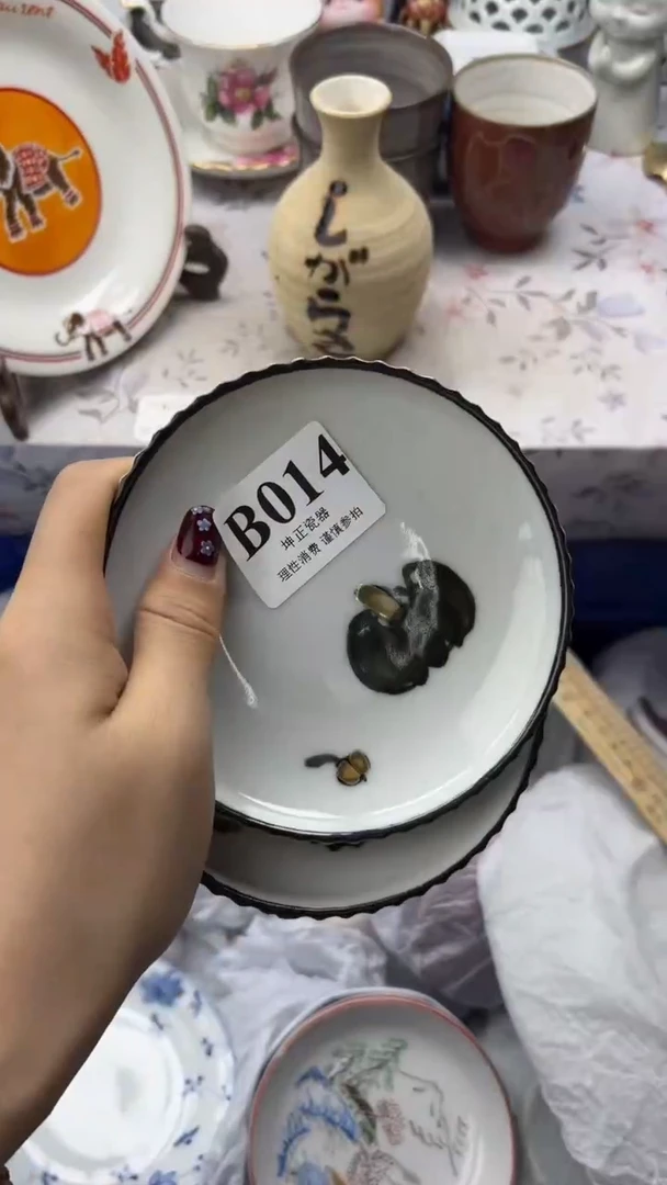 瓷片          B014