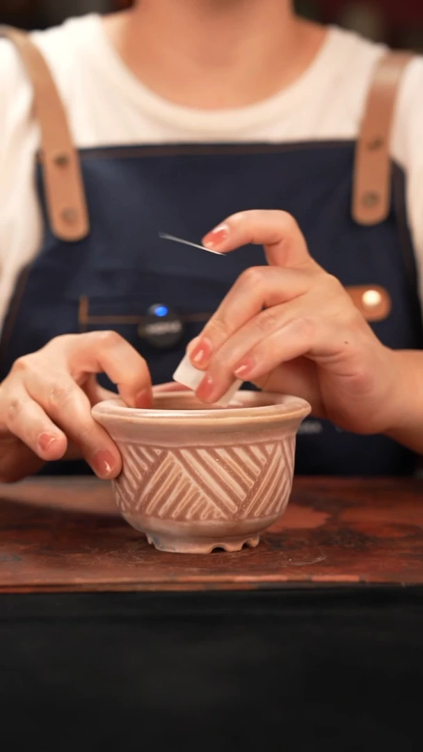 7-10-021花盆口径8