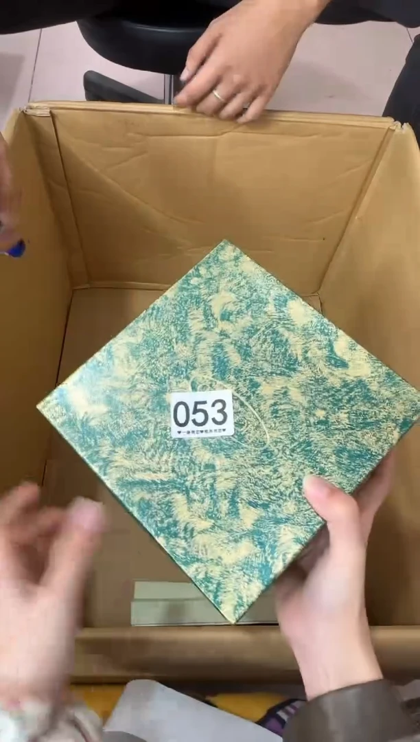 其他y***i053...中古产品谨慎参拍