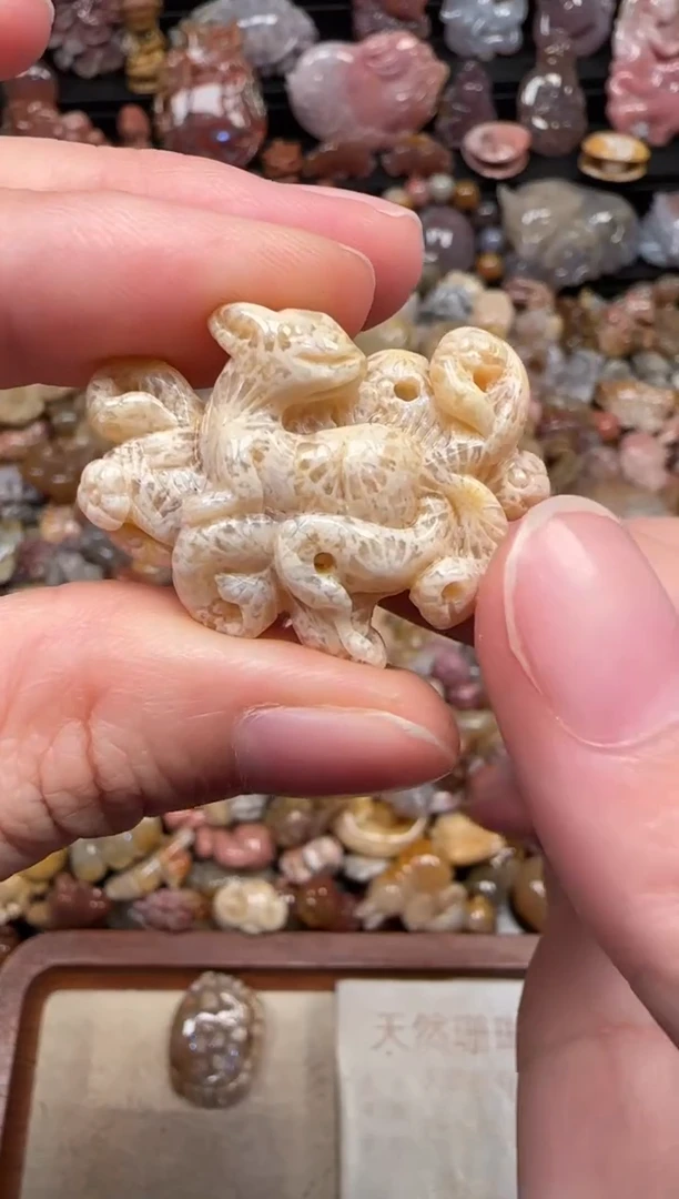 颈饰未镶嵌硅化珊瑚（珊瑚玉）165