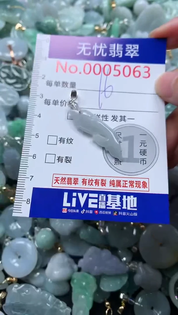 颈饰未镶嵌翡翠5063