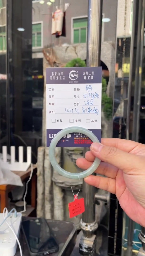 未镶嵌手镯翡翠W 51圆条 4888