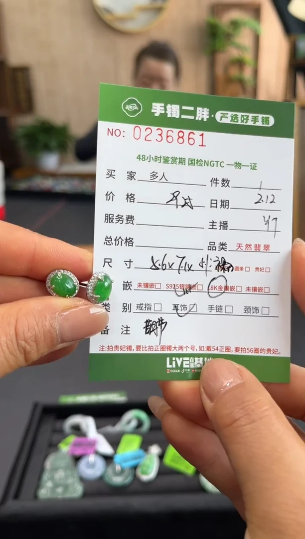 【闪购商品】翡翠耳饰银S925镶嵌多人