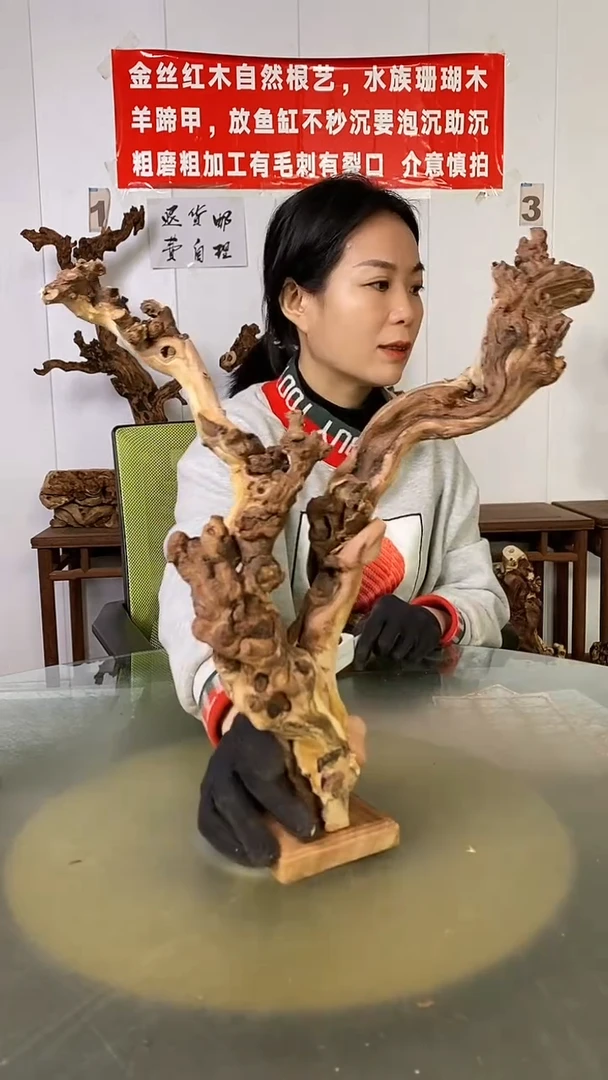 木关**房金丝红木  羊蹄甲