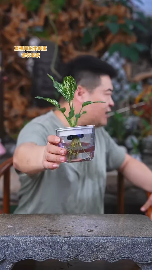 完全开放绿翡翠亚克力