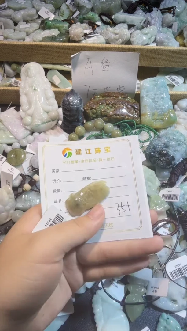 【闪购商品】翡翠颈饰未镶嵌00000351