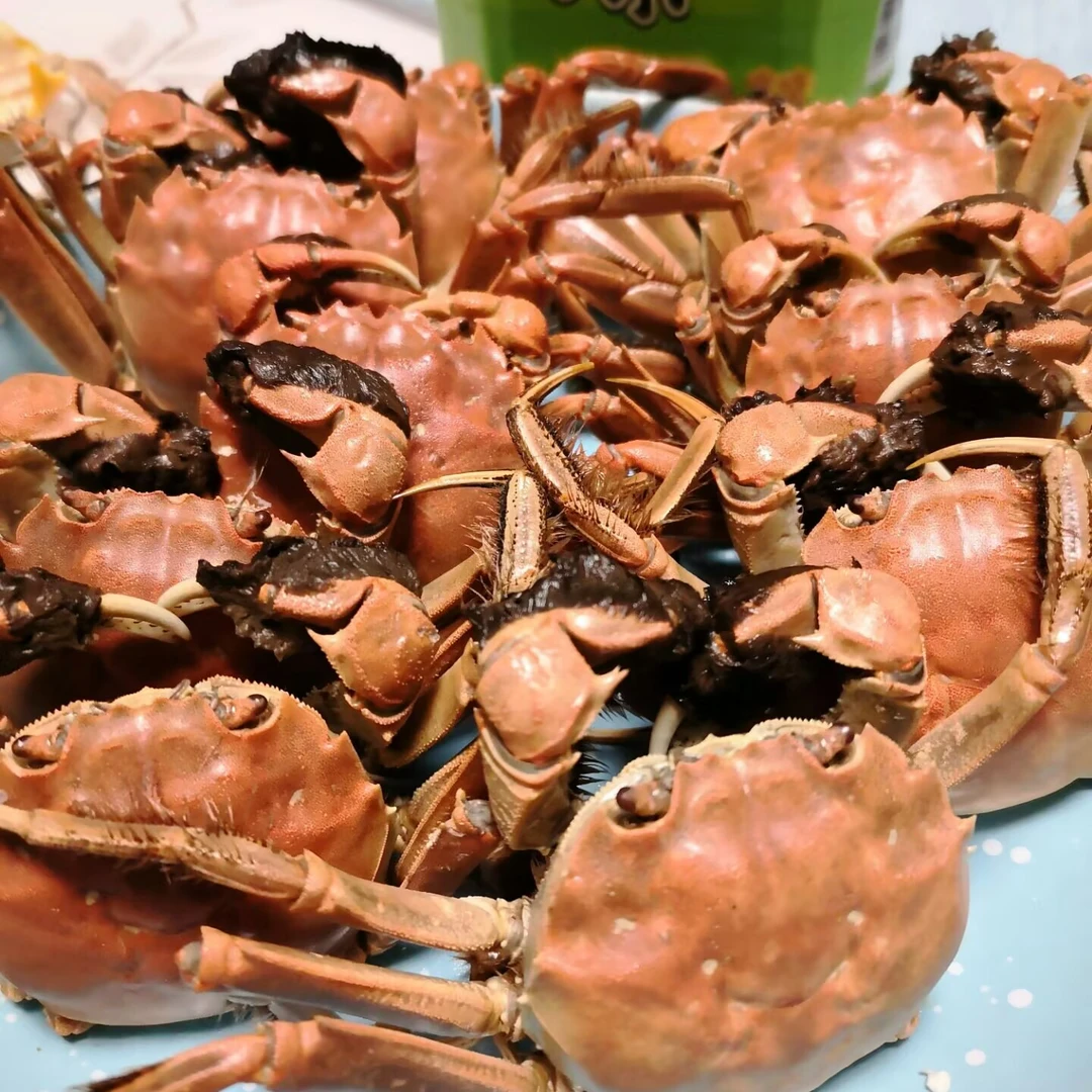 公蟹鲜活【保鲜不保活】1.5两左右一只 三斤起拍