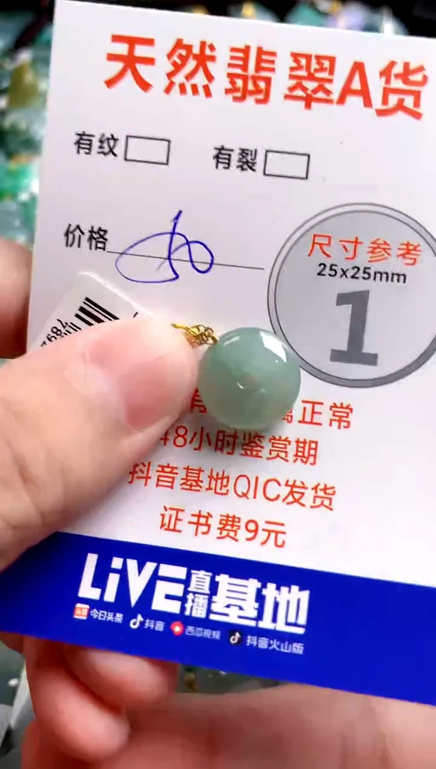 翡翠18K金镶嵌颈饰14006809