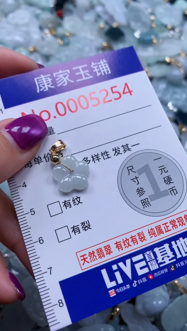 颈饰未镶嵌翡翠5254