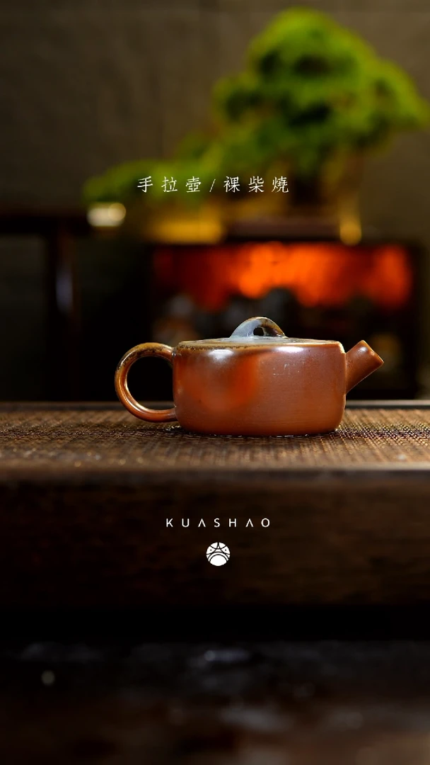 【闪购商品】逐日壶300