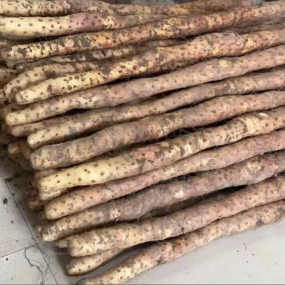 焦作温县垆土铁棍山药