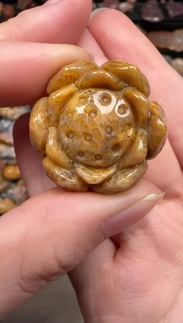 硅化珊瑚（珊瑚玉）未镶嵌颈饰163